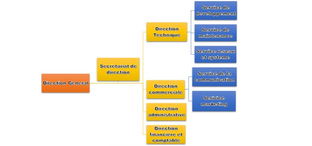 NF CONSULTING SARL ORGANISATION